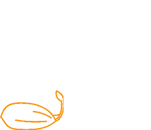 香港六宝典