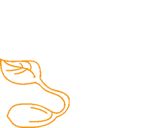 香港六宝典