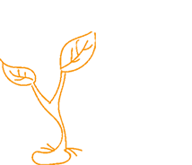 香港六宝典