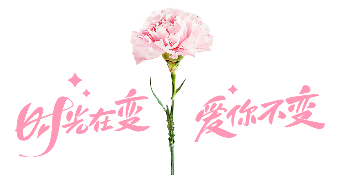 香港六宝典